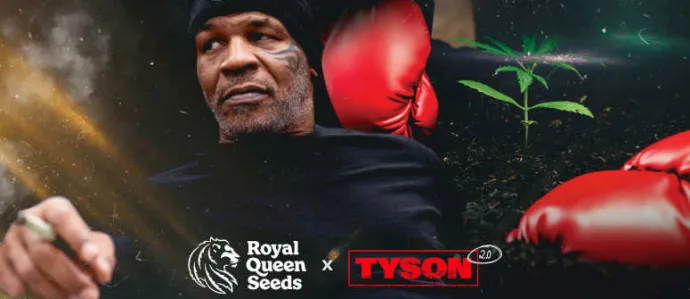 Portrait or archival photograph of people: Royal Queen Seeds: the company’s history